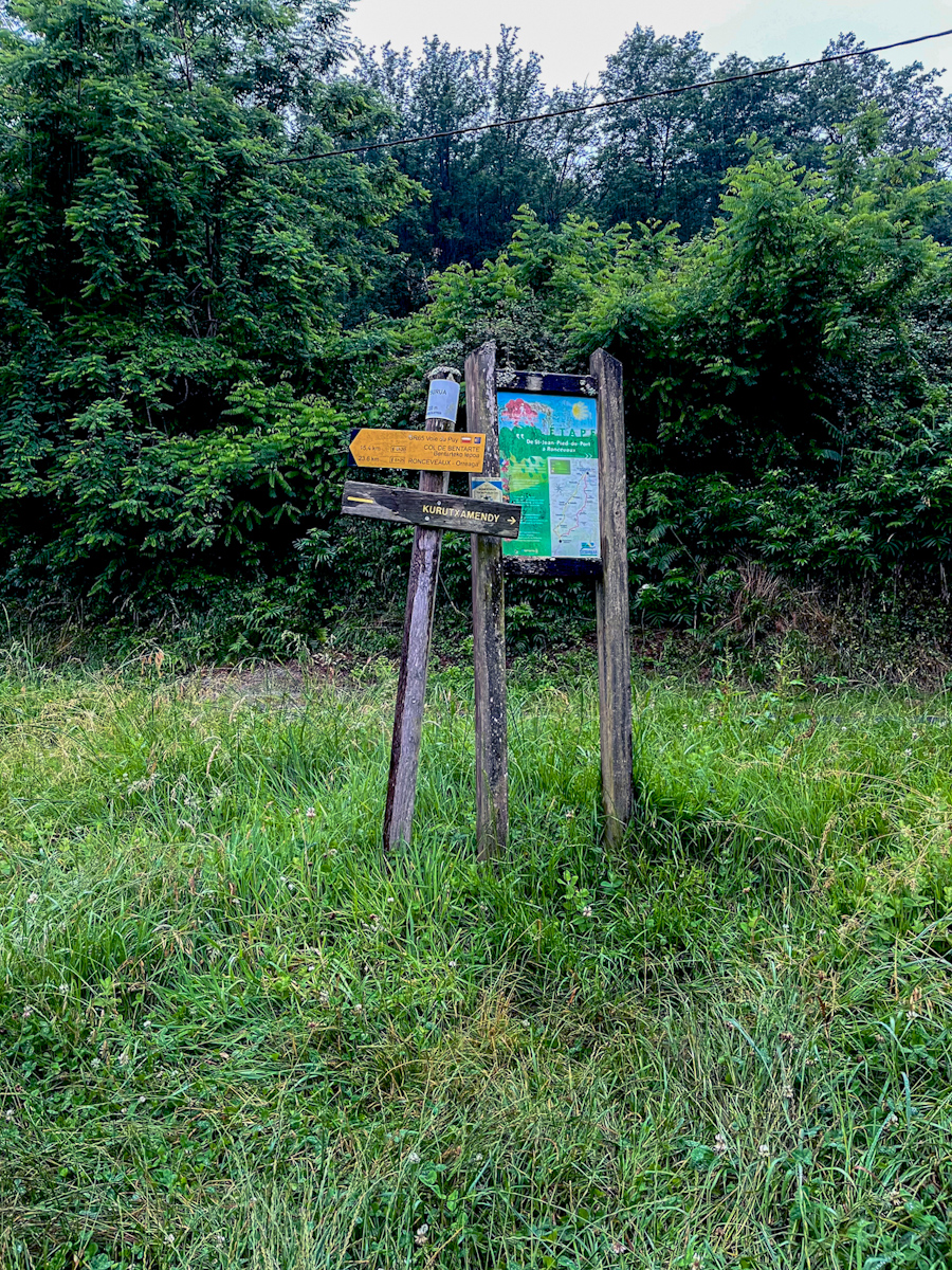 A weathered wooden Camino signpost in tall grass at the edge of a forest