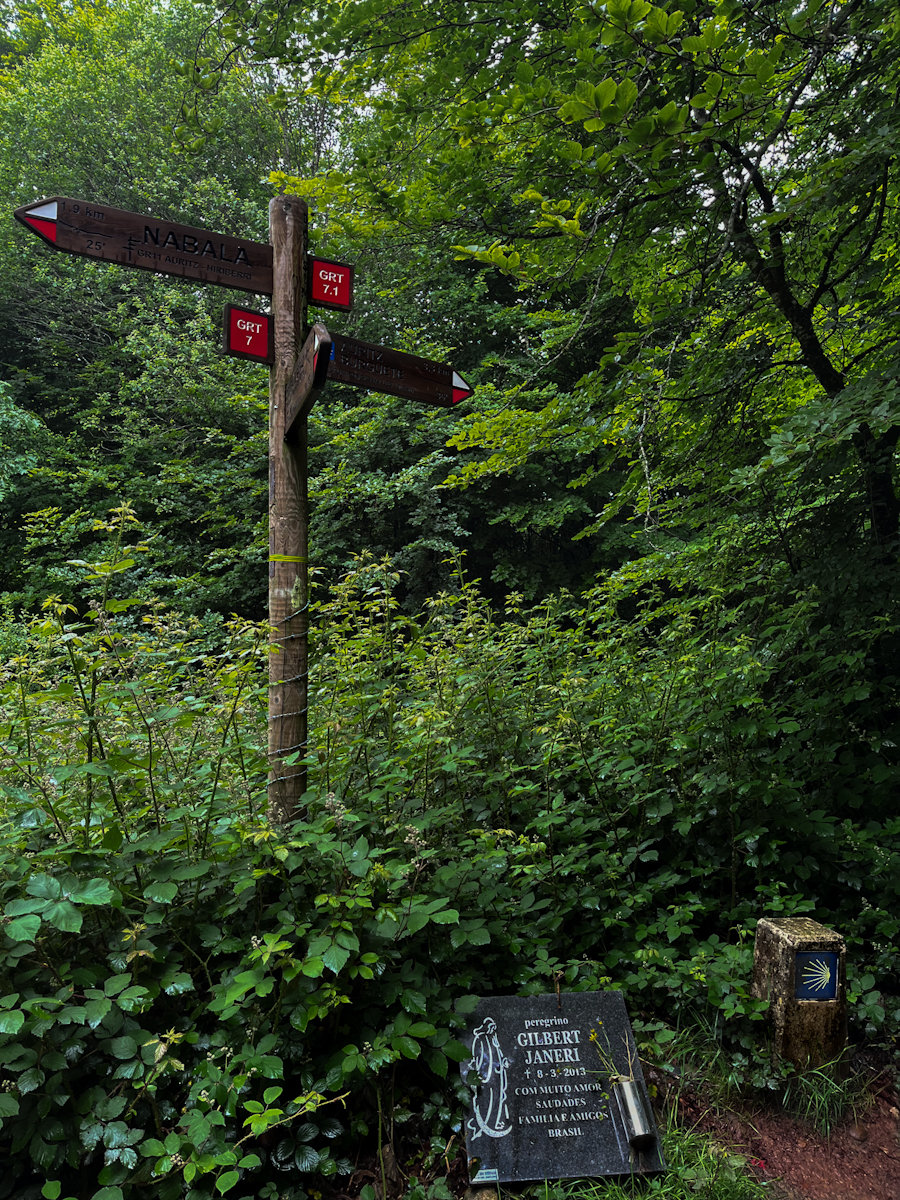 A wooden trail signpost beside a small stone memorial plaque for a pilgrim, deep in green forest