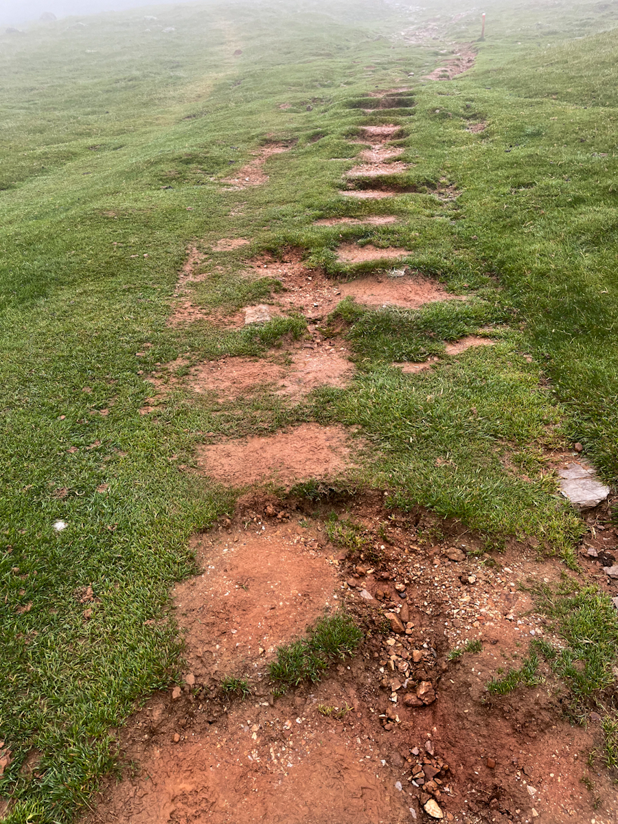 Rough-cut stone steps climbing a grassy slope, disappearing into fog