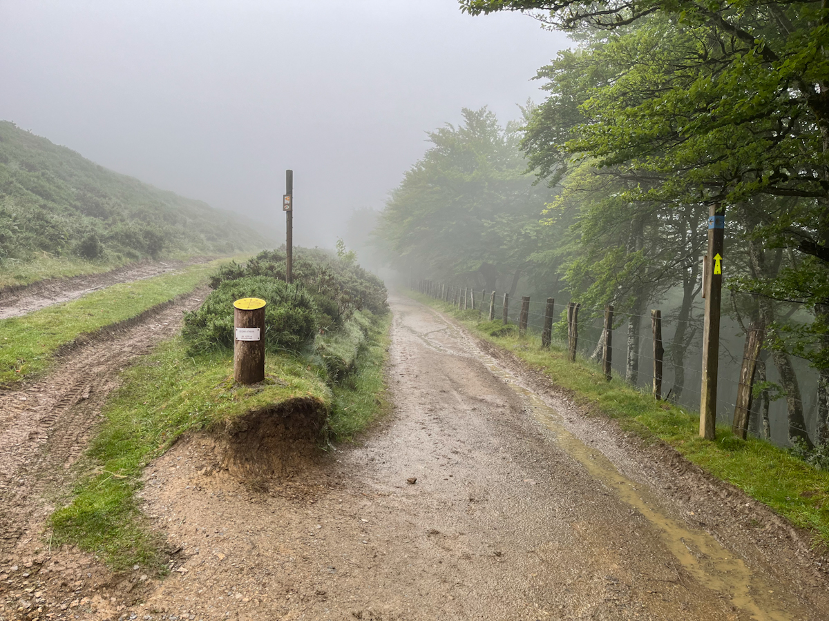 A wooden waymarker post beside a muddy track disappearing into fog and fenced forest